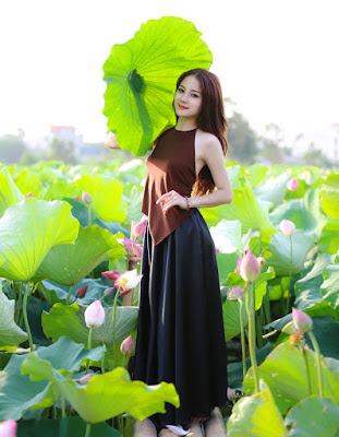 Lotus in Viet Nam