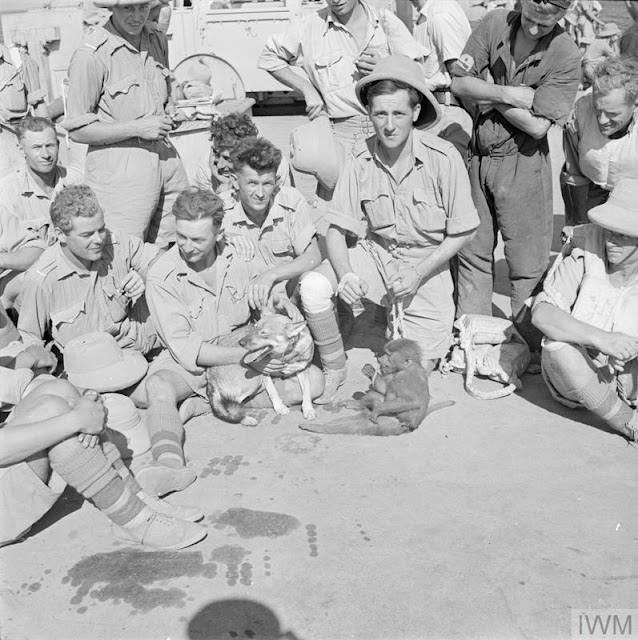 Polish Carpathia Brigade with mascots, 27 August 1941 worldwartwo.filminspector.com