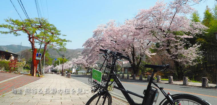 [埼玉] 熊谷桜堤と長瀞の桜を見に行く②