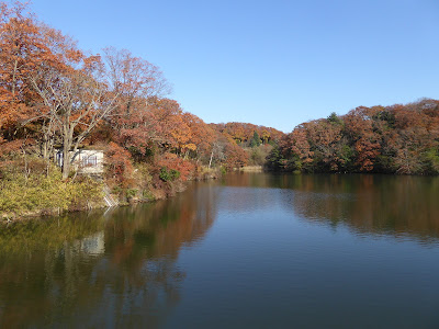 白旗池の紅葉