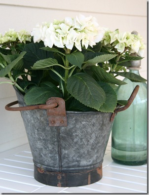IMG_4466 til blogg