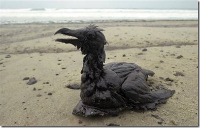 080118-prestige-oil-spill-hmed-10a_hmedium