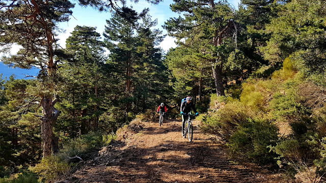 AlfonsoyAmigos - Rutas MTB