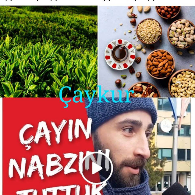 Çaykur