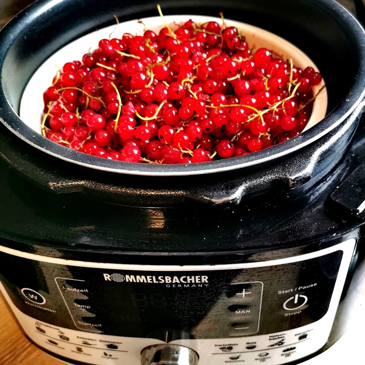 Johannisbeeren entsaften im Multikocher MeinHans