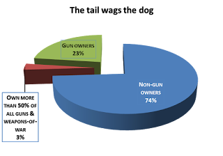 Pie chart shows 25% of the US population owns guns, 3% own more than half of all guns.