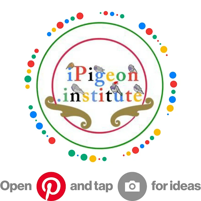 The iPigeon.institute Pin Code Logo