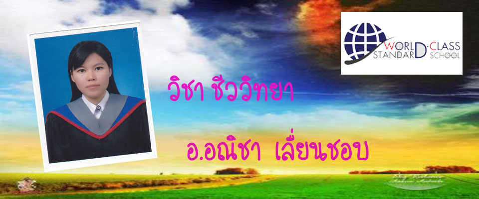 น.ส.ธิดาภรณ์  พูลทรัพย์
