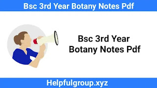 Bsc 3rd Year Botany Notes Pdf