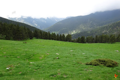 El Costabona per la baga de Carboners