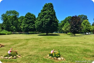 July 6 front yard