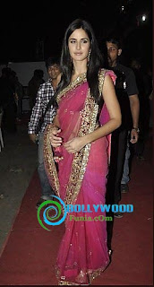 Katrina Kaif Unseen Saree Stills 2013