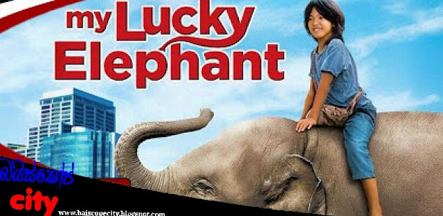 My Lucky Elephant :පුංචි අලි කතාව (2013) සිංහල හඩකැවූ චිත්‍රපටය HD