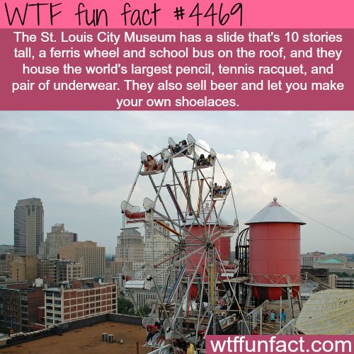 40 Amazing Random WTF Facts