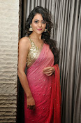 Shruti sodhi glamorous saree photos-thumbnail-12