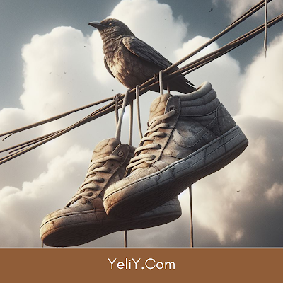 The Mystery Behind Shoes On Power Lines | Exploring The Various Interpretations