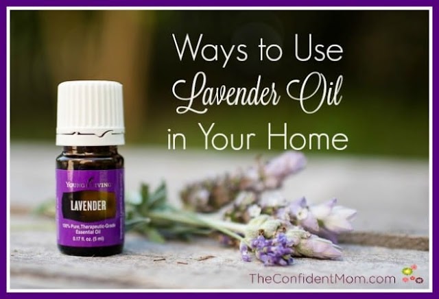 Top 20 Benefits of Using Lavender Oil in Your Daily Life