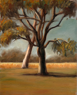 Oil painting of two lemon-scented gums with dry grass and eucalypts in the background.