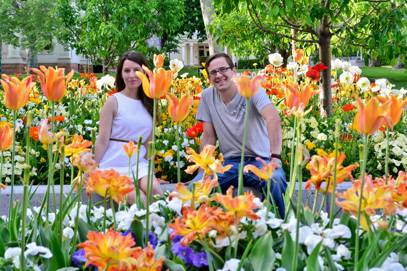 Tulips3