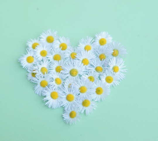 Pure Love_33582215