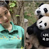Fu Bao: El Panda que Robó el Corazón de BoA y de Todo un País