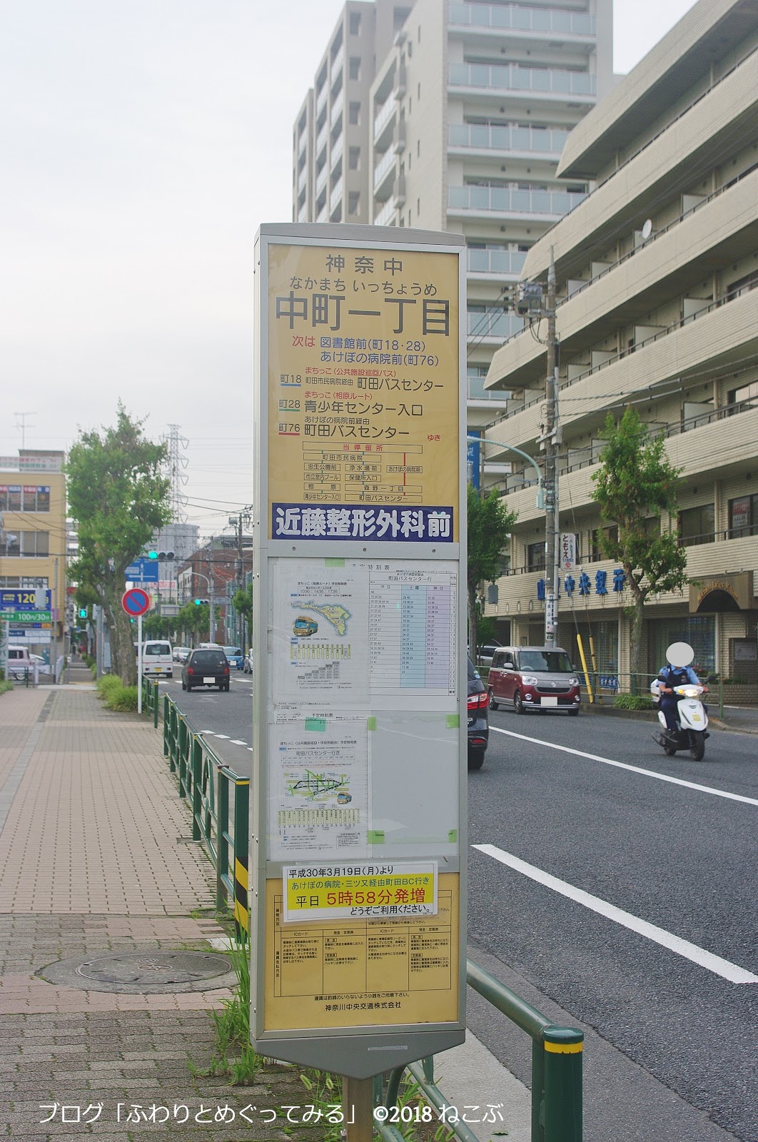 ふわりとめぐってみる 町田シバヒロ へ行ってきたョ 町田市