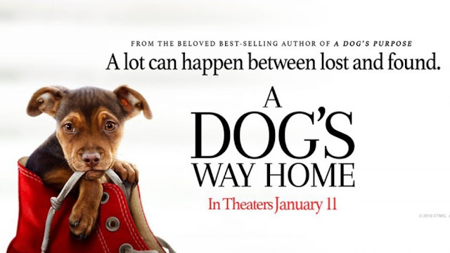 A Dog's Way Home (2019) Org Hindi Audio Track File