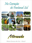 CAPADVDMIRANDAMS / TURISMO (capa pasta miranda turismo)