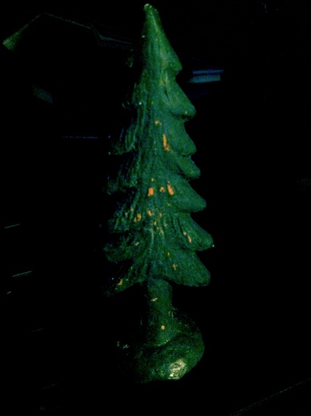 Tree5