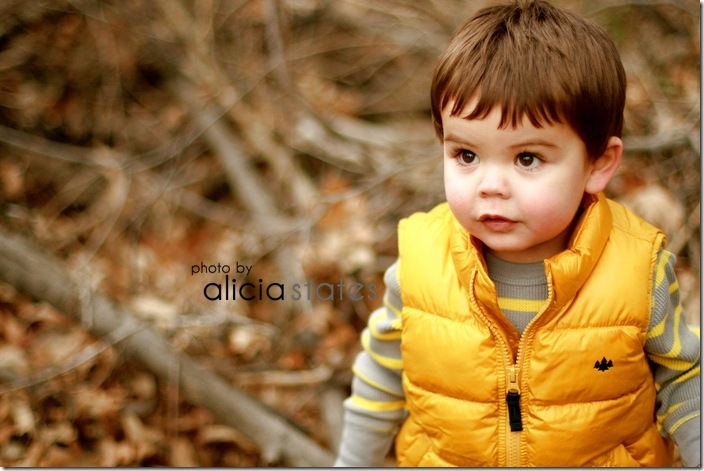fall-atumn-utah-family-alicia-states-photography- 644-1 