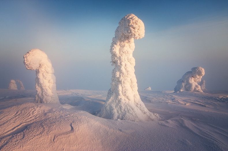 Sentinels-of-the-Arctic-0 Sentinels-of-the-Arctic-0