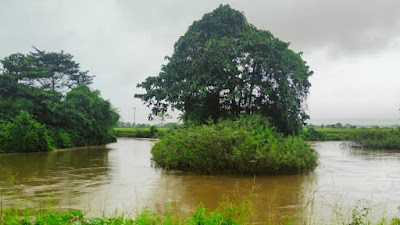 BPBD Koltim Urgen Normalisasi Sungai untuk Cegah Banjir dan Lindungi Lahan Pertanian