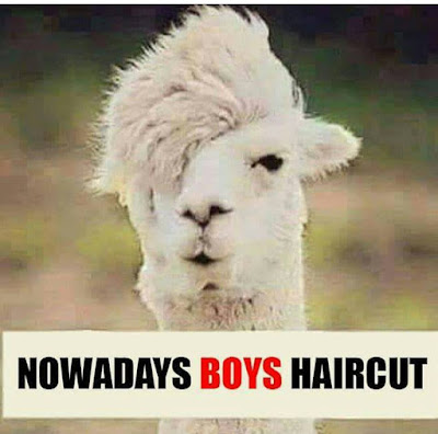 Boys Haircut
