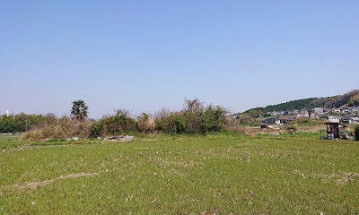 西野々古墳群(富田林市)