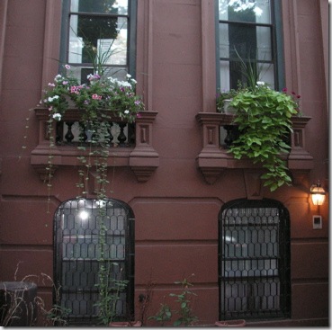 cambridgeflowerboxes