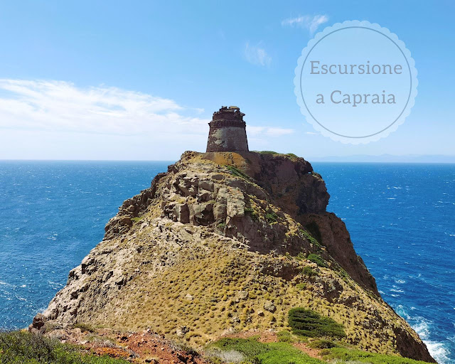 Isola Capraia: escursione Monte Arpagna Torre dello Zenobito