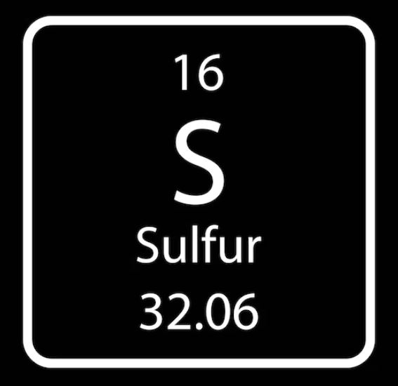 pengertian siklus sulfur