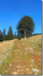 CIMG0980