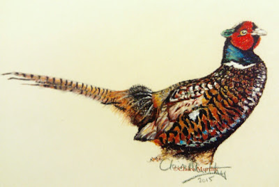 painting of a british bird
