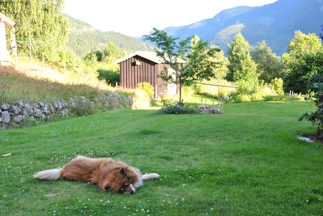 Vassfaret 062