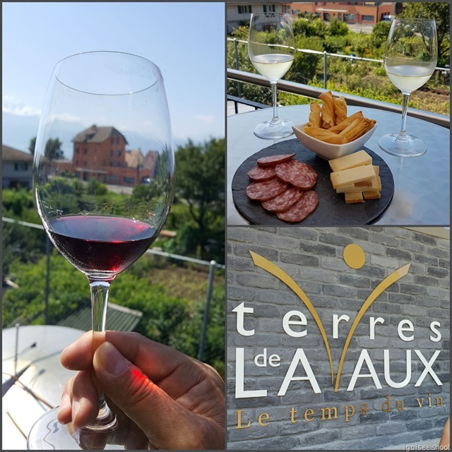 Wine tasting at Terres de Lavaux, Lutry Wine tasting at Terres de Lavaux, Lutry