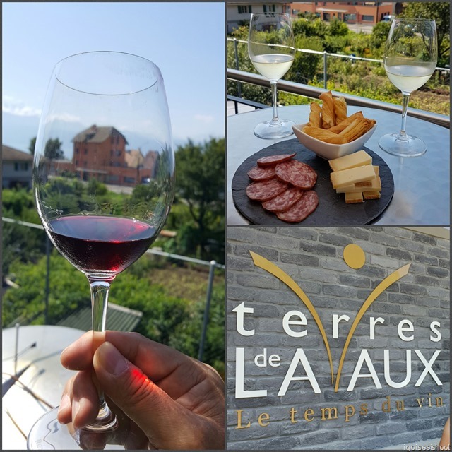 Wine tasting at Terres de Lavaux, Lutry