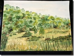 IMG_2618