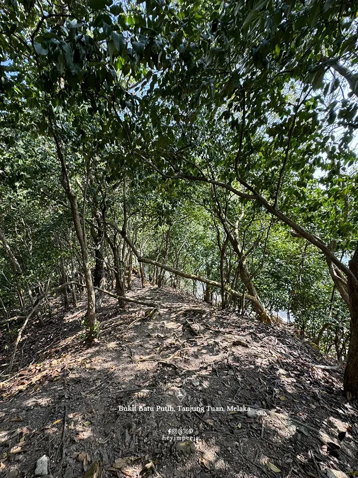 Bukit Batu Putih Tanjung Tuan Melaka