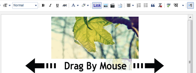drag by mouse