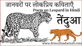 Poem on Leopard in Hindi