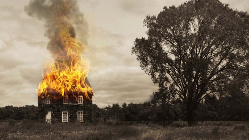 American Pastoral (Pastoral americana) 2016 online español españa