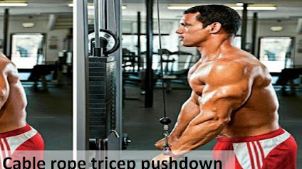 Cable rope tricep pushdown