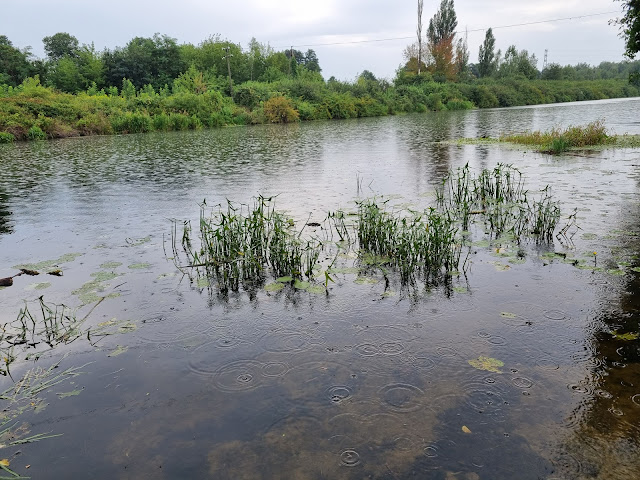 Rowerem nad Jezioro Zegrzyńskie