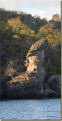 saintsDSC_0078